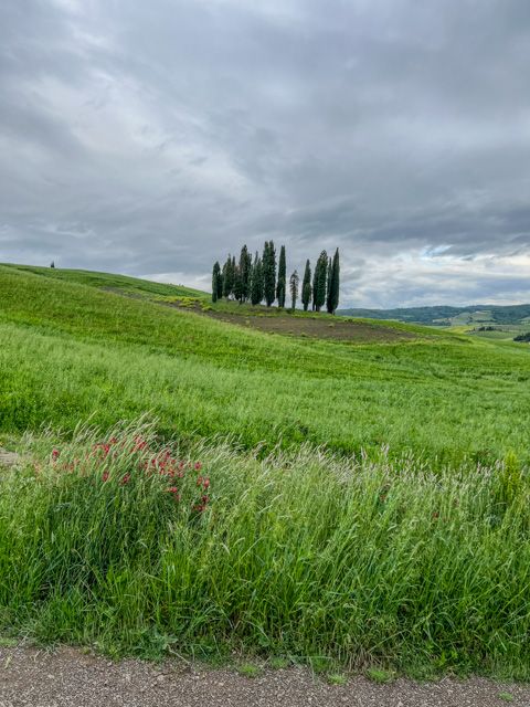 Tuscany