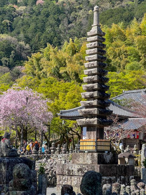 Adashino Nenbutsu-ji Temple