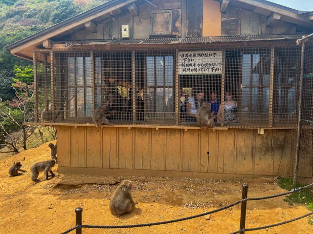 Iwatayama Monkey Park